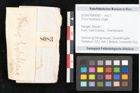 Foto (Objekt + Etikett) von Pinus holothana Unger (NHMW-GEO-2024-0188-8083)
